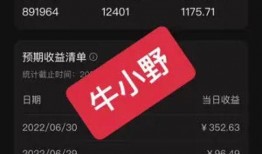 视频收入爆料,揭秘网红经济背后的惊人数据与趋势