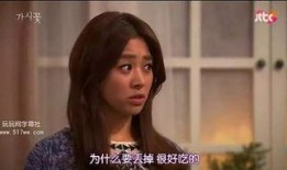 荆棘花电视剧在线观看,情感纠葛中的命运抉择