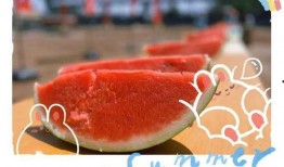 娱乐场所日常吃瓜,揭秘日常吃瓜背后的故事与真相