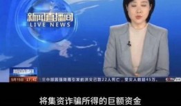 新闻爆料王冕视频下载,揭秘网络传播背后的真相