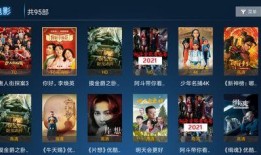 奇遇舞章爆料视频大全最新,揭秘舞蹈世界的奇幻之旅