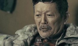 老头老头视频在线观看,老头老头视频在线观看，笑中带泪的温馨故事