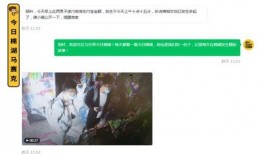 有网友爆料视频怎么办,事件真相究竟如何？