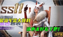 最新军需爆料新闻视频,军需爆料视频深度解析