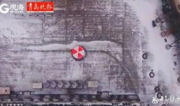 新闻爆料青岛最新消息视频,视频爆料揭示城市动态与热点事件