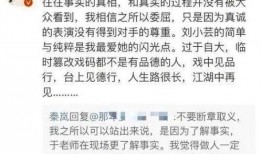 娱乐圈文章爆料怎么写的,揭秘明星幕后真相！