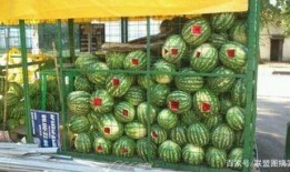 太原市网红吃小瓜的店叫什么,小瓜美食店探秘