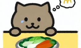 最新博主爆料胖猫视频,萌态可掬引网友热议