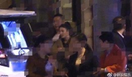 张雨绮袁巴元最新爆料,最新爆料揭露婚姻内幕