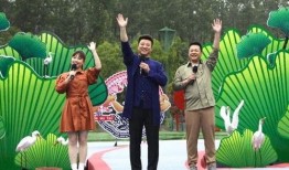 湖南跨年爆料新闻视频最新,独家爆料，精彩瞬间抢先看！