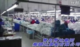 青岛服装厂爆料视频大全,揭秘行业真相与幕后故事