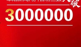 阜阳新闻网爆料,揭秘当地热点事件背后的真相