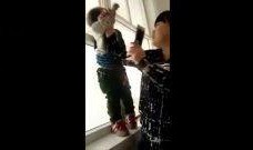 折磨在线观看,揭秘惊悚悬疑的虚拟世界