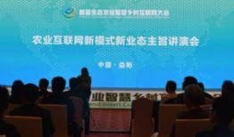 三农新闻爆料,揭秘农村发展新动态与农民生活新变化