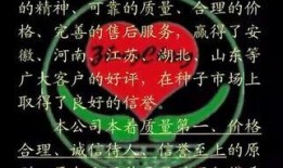 忠诚在线观看土豆,土豆独家呈现，揭秘忠诚背后的感人故事