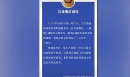 武汉宠物爆料事件最新进展,最新进展揭示真相与后续处理