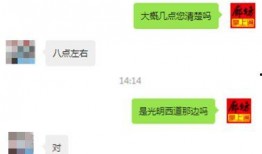 今日微爆料,热点事件背后的真相与思考