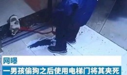小男孩被爆料视频大全集