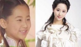 杨紫和宋佳最新爆料,揭秘娱乐圈幕后真相