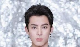 记者爆料王鹤棣视频,记者爆料背后的真相