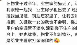无语吃瓜网红,揭秘娱乐圈幕后真相