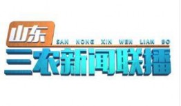 三农新闻爆料,揭秘农村发展新动态与农民生活新变化
